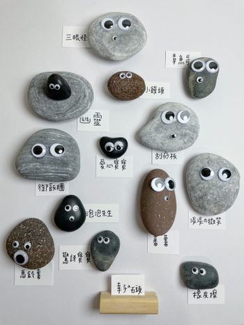 療癒新寵物—寵物石頭🪨