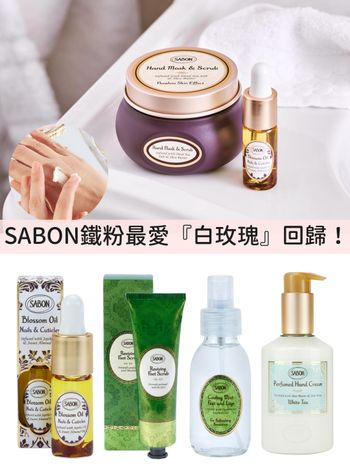 隱藏版升級回歸！SABON鐵粉票選最懷念香氣『白玫瑰』，必收手足磨砂膏，保證擁有嫩白嬰兒膚質！