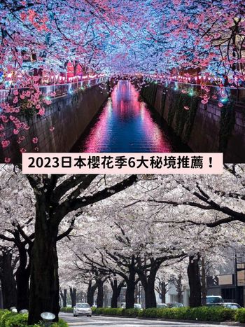 2023日本櫻花季6大秘境！開花時間、景點介紹...搭JR東日本周遊券5天內賞櫻賞到爆！