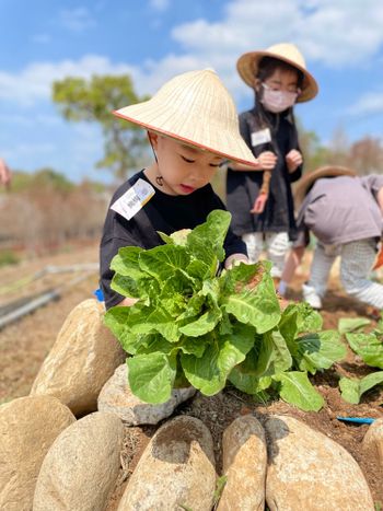 小農夫體驗🌾🌾