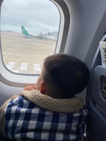 旅行✈️