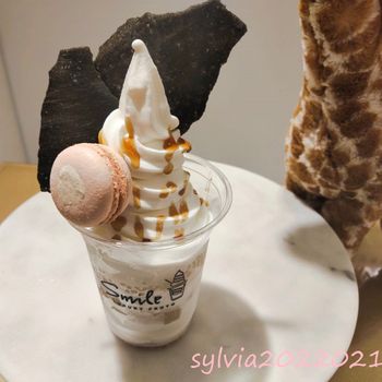 網美系列的Smile Froyo優格霜淇淋。