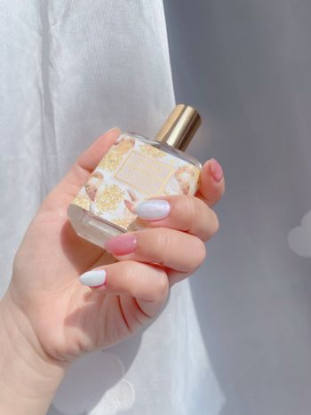 3月的熊爪