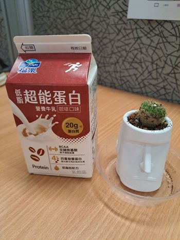 7-11。便利商店｜低脂超能蛋白營養牛乳咖啡口味