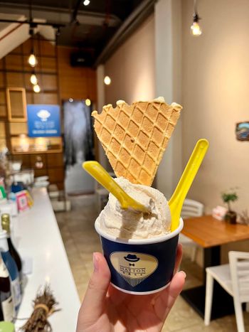 台中探店🍦哈頓先生17種義式冰淇淋任你選～Mr.Hatton