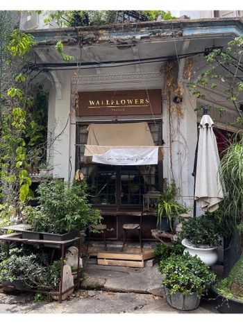 曼谷探店｜復古歐式浪漫花房咖啡廳☕️🌹