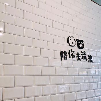 陪你去流浪
