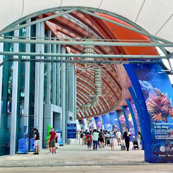 【新加坡-Singapore】聖淘沙名勝世界│SEA海洋館│S.E.A. Aquarium