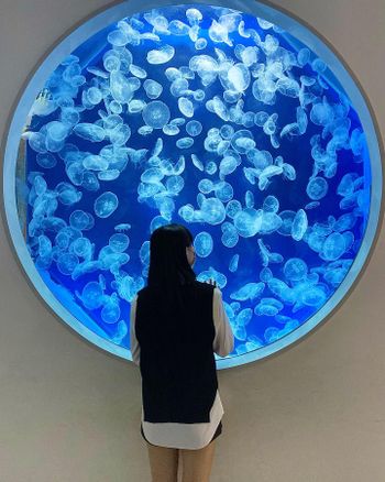 桃園 - Xpark水族館🐠