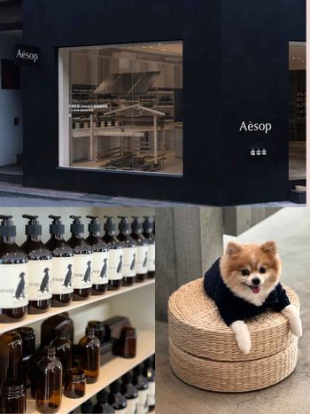 2023年末品牌體驗活動！Aesop《永續星圖：台灣循環旅程》帶寵物進店、免費提供寵物點心！