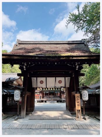 🇯🇵日本女生最愛神社⛩️京都「河合神社」