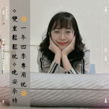 ｜四季專用枕-雙重鬆鬆枕 𖤘晚安奈特