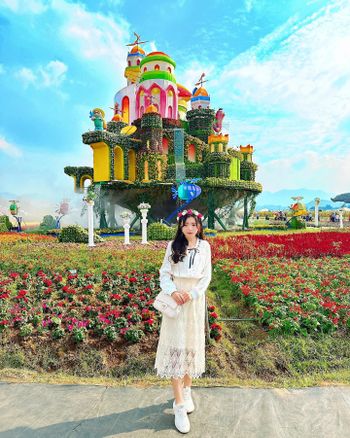 《台中新社花海》這次的花海真的超美❤️大家有來打卡了嘛？#台中景點 #新社花海 #飄浮花卉城堡 🏰 #網美景點 