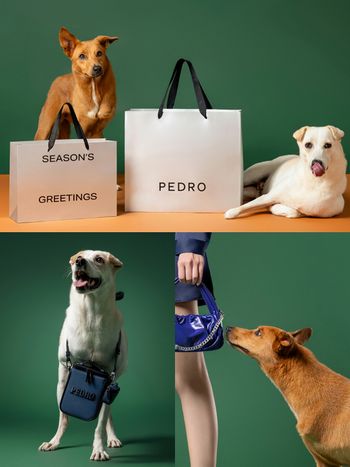 太可愛！PEDRO邀浪浪拍廣告「領養代替購買」買包同時散播愛心！