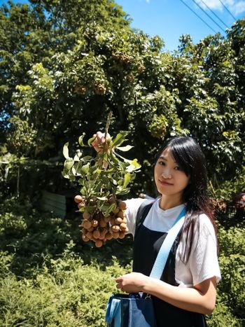 不一樣的台中旅遊-尋找貓頭鷹