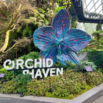 新加坡-Singapore】地著名綠化景點花園城市│電影阿凡達聯名合作│濱海灣花園 Gardens by the Bay