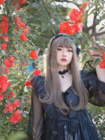 🌹玫瑰園裡的一抹夜色🌹