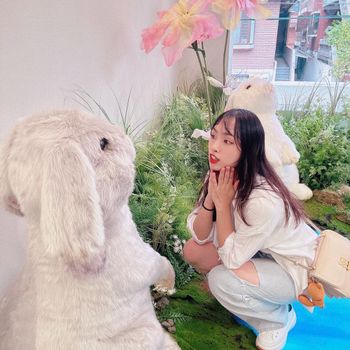 新開幕！弘大如臨愛麗絲夢遊仙境的隱眼店