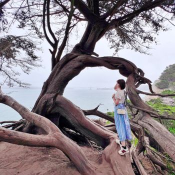【美國-San Francisco】舊金山藍天秘境│Lands End