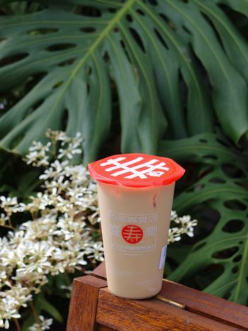 台南《壽奶茶》｜台南推薦奶茶名單✨🥤