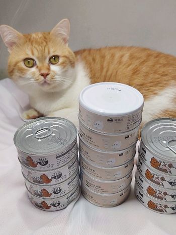 《喵皇奴》貓咪主食罐推薦 ，我家貓主子最愛吃的罐罐(四種口味)