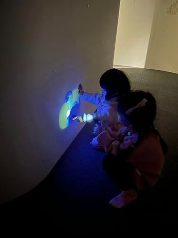 當梅子與南瓜遇到霸王龍時