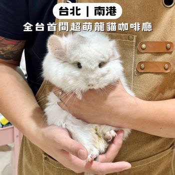 台北南港｜萌到不行♡全台首間可以撸龍貓の咖啡廳😍