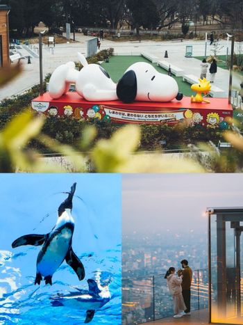 不要只去迪士尼！2024最新日本東京旅遊景點「陽光水族館、Shibuya Sky...」全都超好拍！