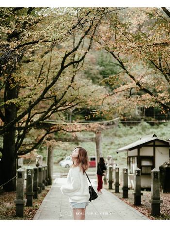 日本旅遊｜龍本山西光寺｜來神社許個願望吧