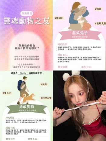 Dcard瘋傳超準「靈魂動物之友」心理測驗！你是溫柔兔子還是黏人小鴨？