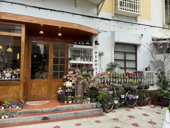 妝點家裡的寶藏店_新竹🚩碗容奶奶