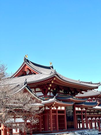 🇯🇵日本旅遊｜不容錯過的隱藏世界文化遺產—平等院