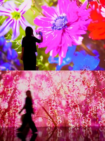 免費入場！蜷川實花《瞬間的永恆》攝影展來了！2大展區+12幅超夢幻花系作品隨便拍都美瘋