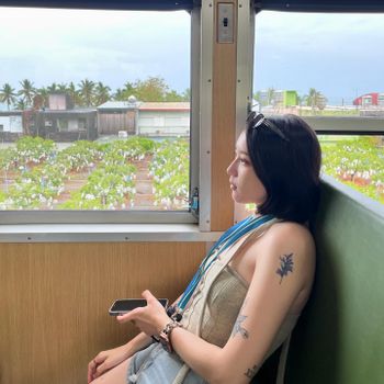 🇹🇼屏東/藍皮解憂號/東部之旅