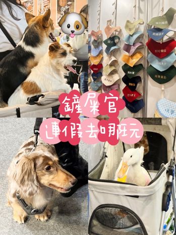 鏟屎官端午節連假去哪裡好呢