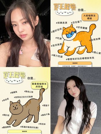 社群爆紅貓咪心理測驗！9題測出你的個性最像哪種貓、你是療癒布偶貓還是吃貨橘貓？