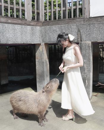 宜蘭 綠舞日式主題園區