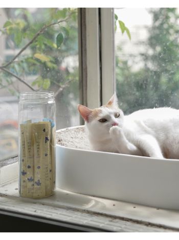 貓貓超愛的好朋朋肉泥