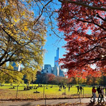 【美國-New York】紐約最具代表的景點之一 │ 中央公園 Central Park