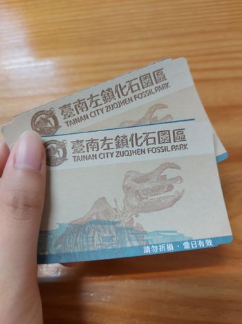 清明連假去哪玩？左鎮化石園區