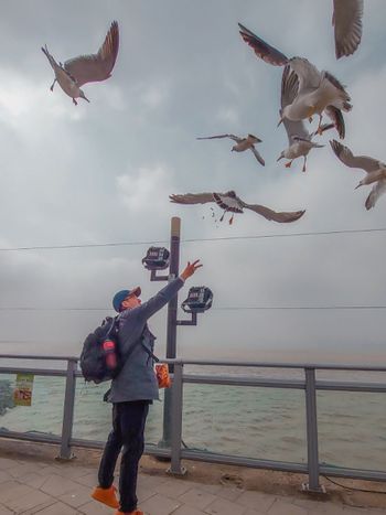 韓國特殊體驗行程_驗餵海鷗😍超級有趣