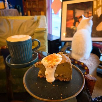 台北不限時咖啡廳🍵 鹹甜食都好吃！老屋懷舊感，還有超可愛貓咪🐱
