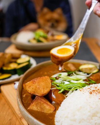 南投必吃寵物友善咖喱店