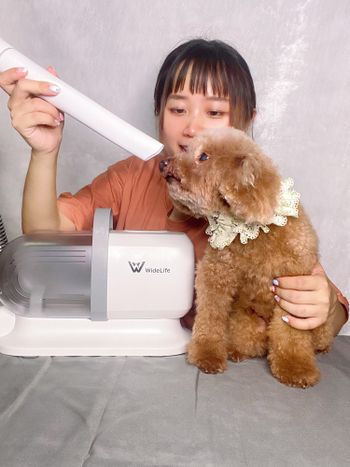 多功能寵物毛沙龍，家裡有毛孩的這台必擁有！