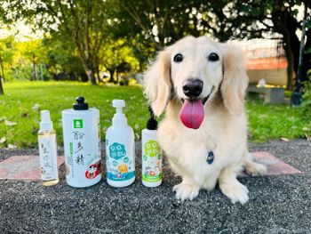 臭臭退散！毛小孩清潔保養品推薦！純天然木酢清潔用品推薦，日常居家必備用品推薦～