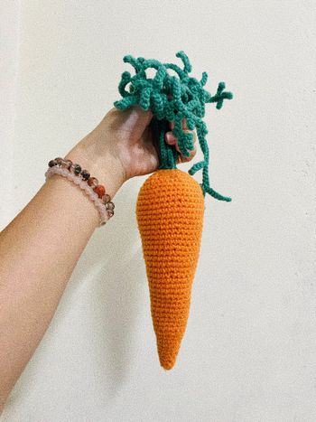編織紅蘿蔔🥕