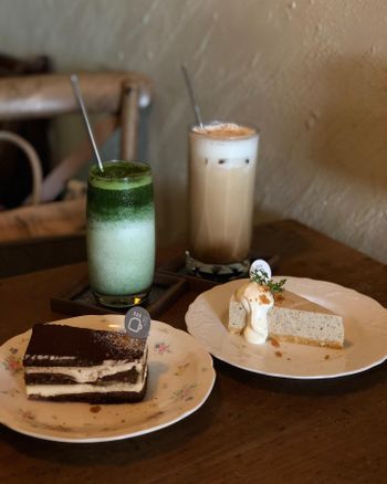 臺南新化｜咖啡廳｜kizuna cafe．簡約植栽擺設，享受靜謐美好的午後時光