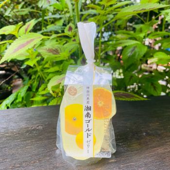 日本甜食，吃的黃金？！/神奈川湘南黃金果凍