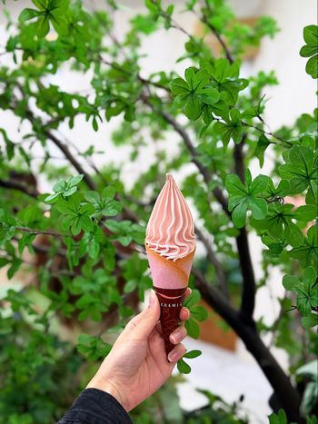 CREMIA 甘王草莓口味期間限定回歸