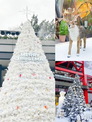 2024台北信義區聖誕樹盤點！新光三越小香聖誕樹、飄雪聖誕樹、BELLAVITA北歐聖誕樹擠爆也要拍！